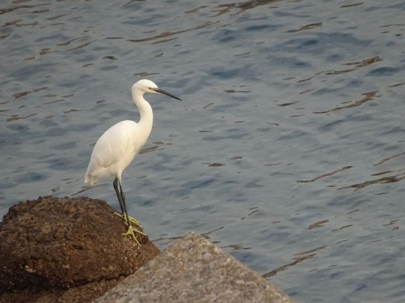 56dsc05356_2