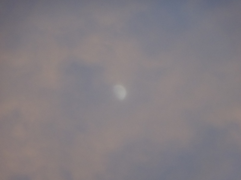 15dsc05455