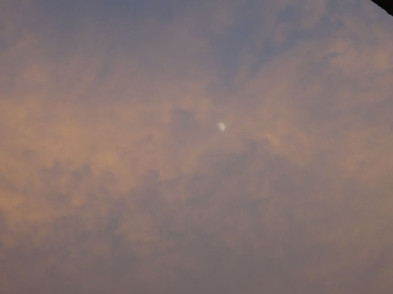 17dsc05457