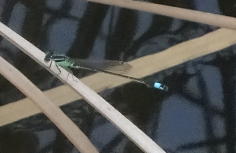 1dsc05401