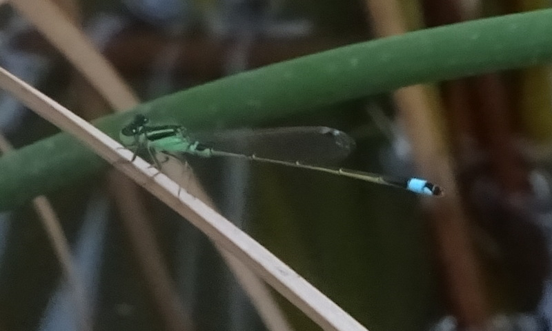 1dsc05402