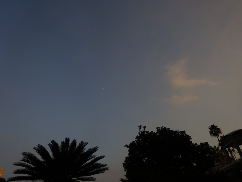 1dsc05403