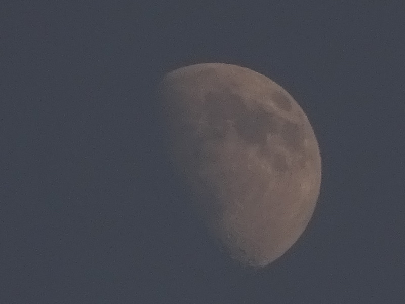 1dsc05404