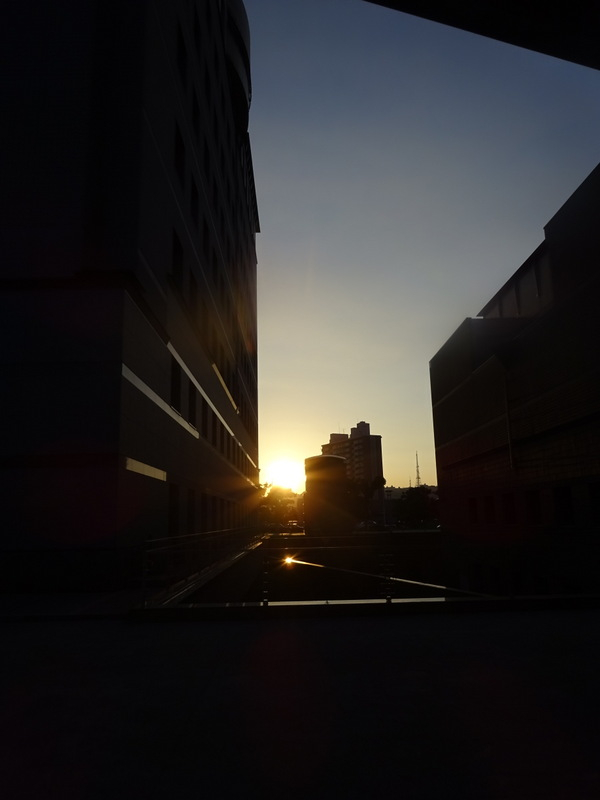 1dsc05405