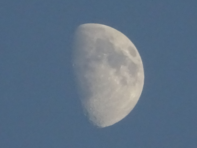 1dsc05418