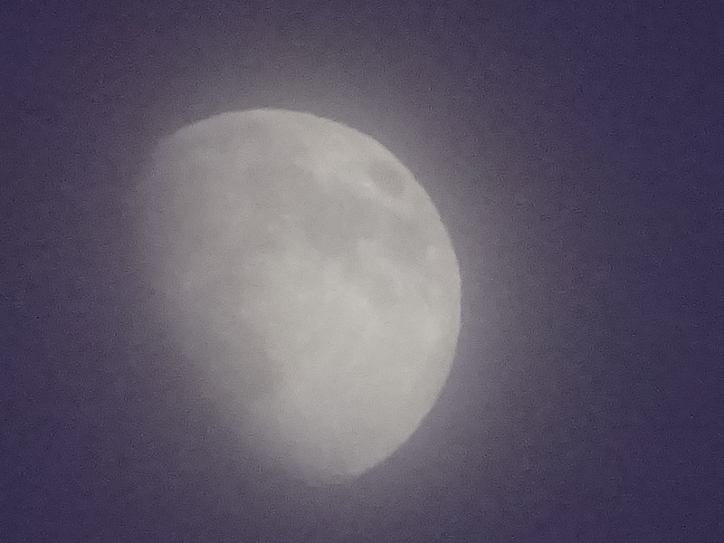 21dsc05461