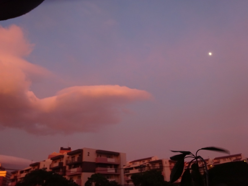 22dsc05462