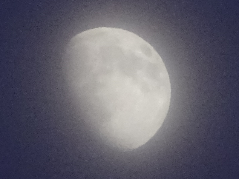 25dsc05465