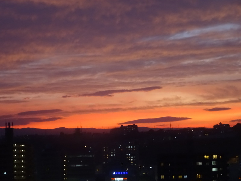 36dsc05476