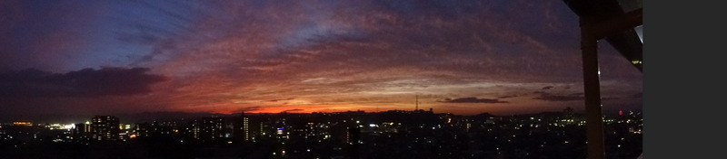 41dsc05481