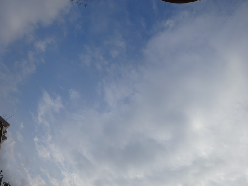 Dsc05392