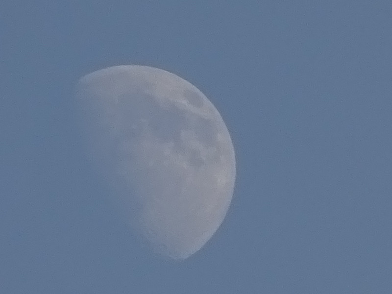 Dsc05398