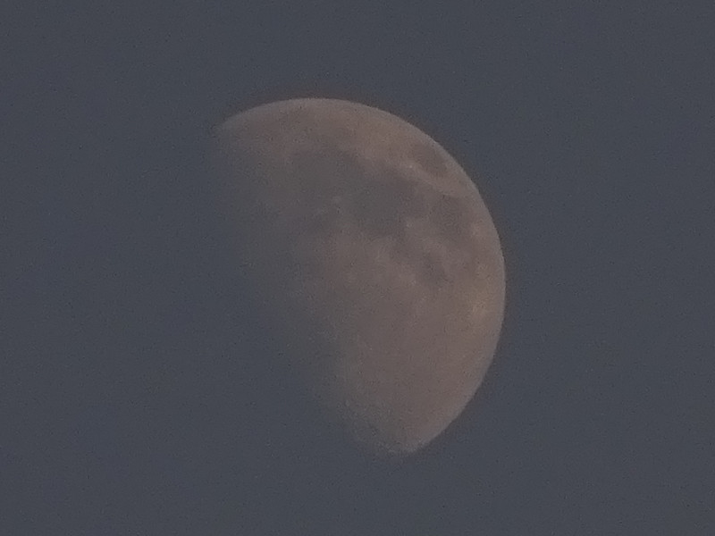 Dsc05399