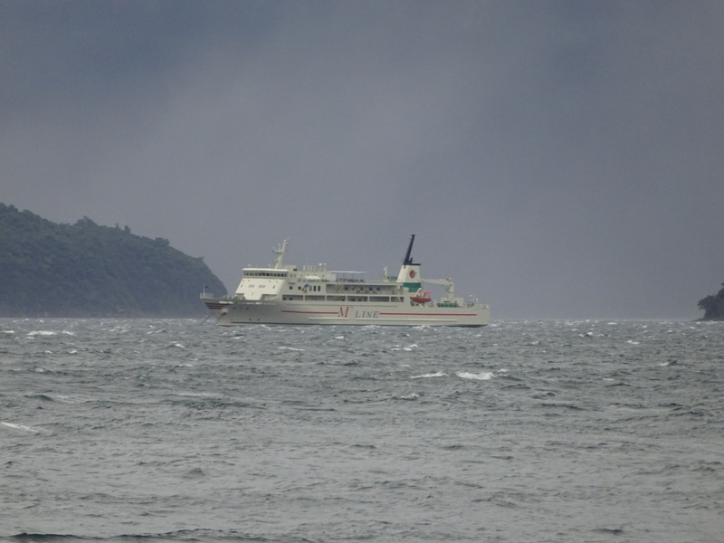 008dsc05500