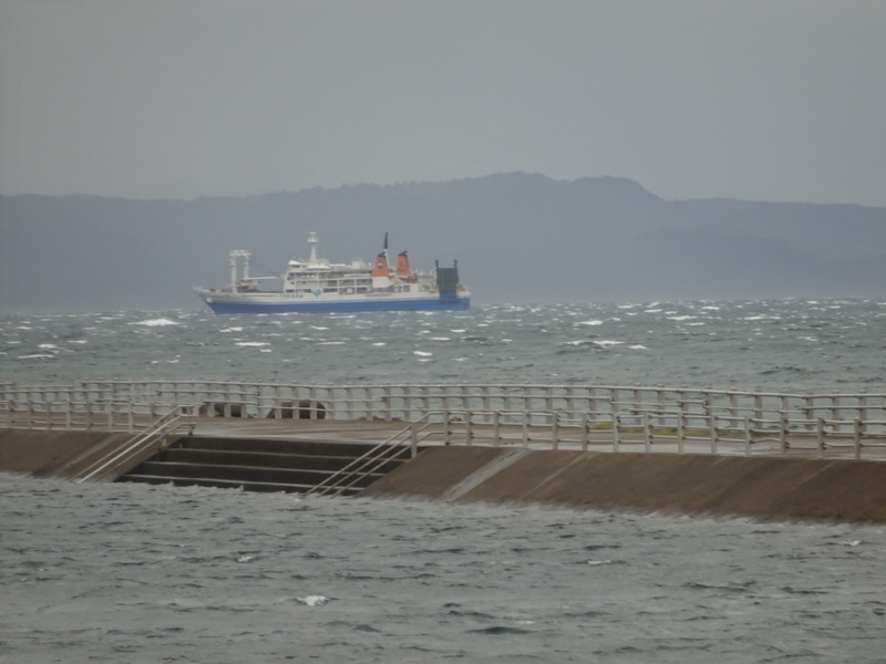 031dsc05525