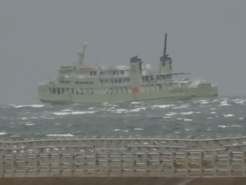 036dsc05531