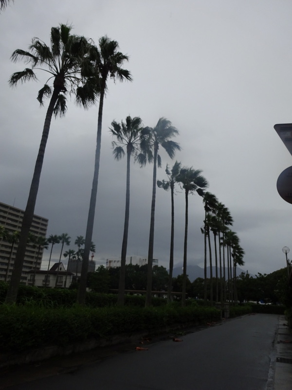 050dsc05545