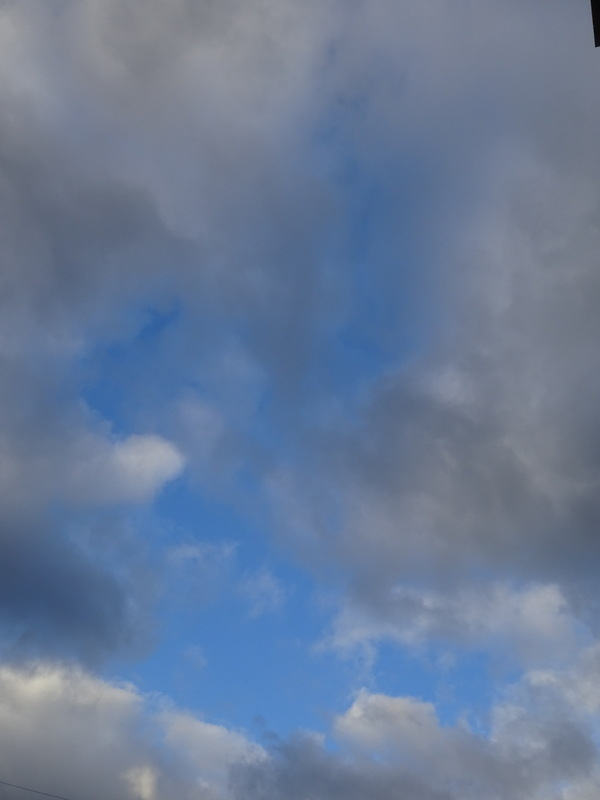 001dsc05618