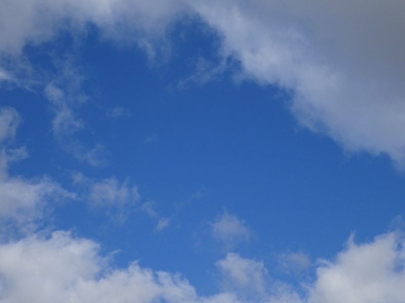 019dsc05636