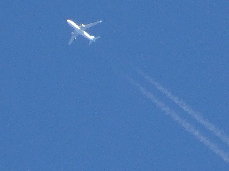 083dsc05709