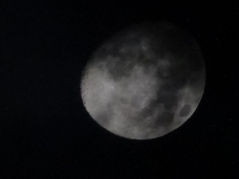 08dsc05612
