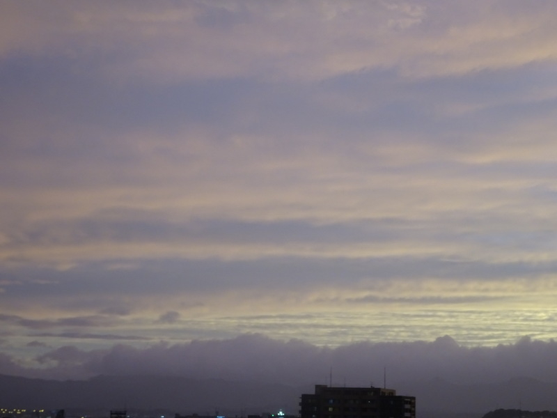 090dsc05585