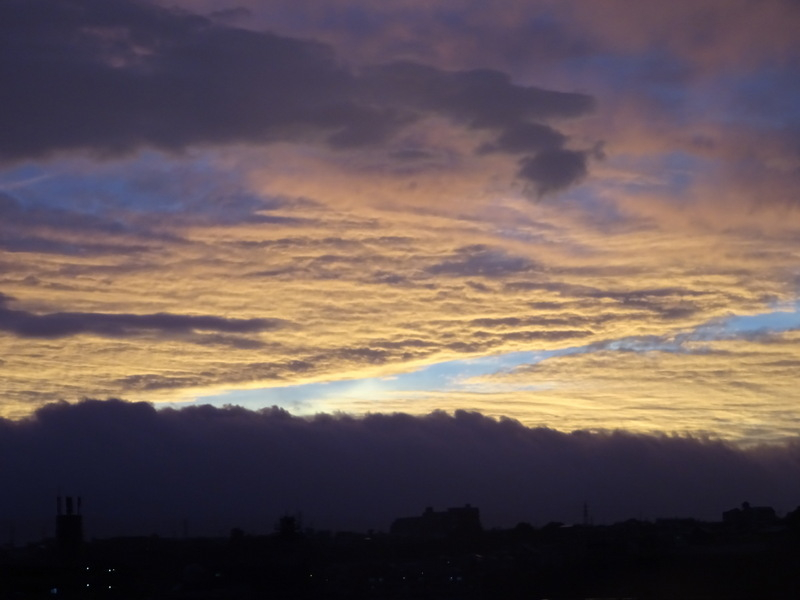 099dsc05594