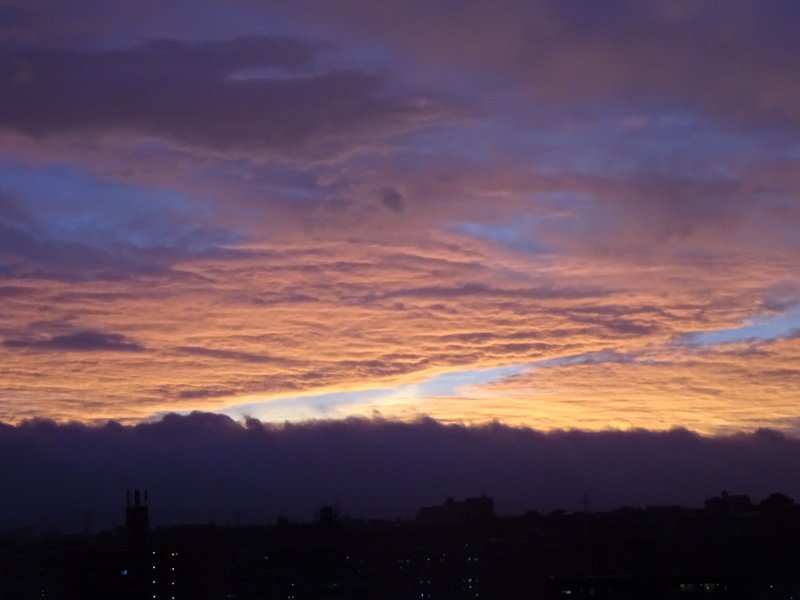101dsc05596