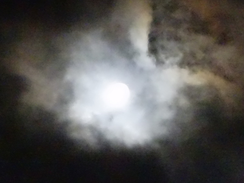 10dsc05614