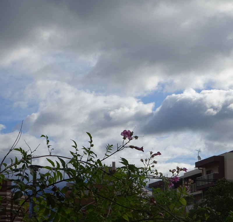 1dsc05623
