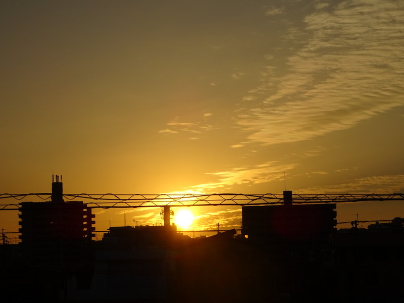 001dsc05788