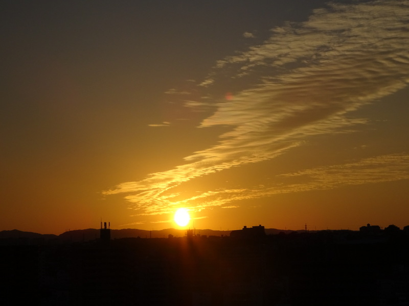005dsc05792