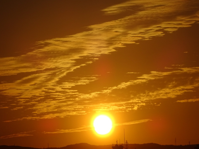 006dsc05793