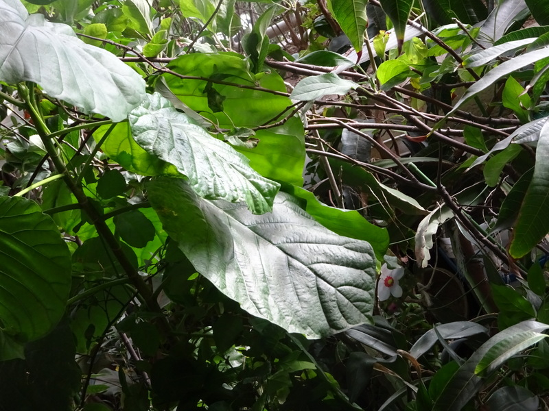 008dsc05625