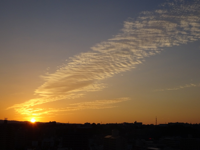 016dsc05803