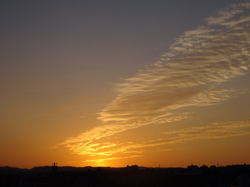 021dsc05808