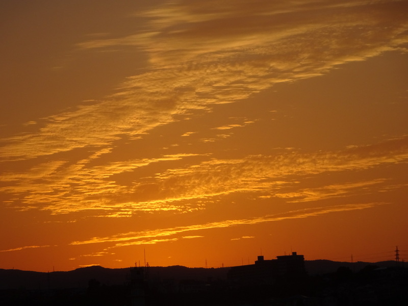 026dsc05813