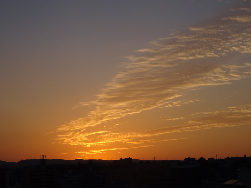 027dsc05814