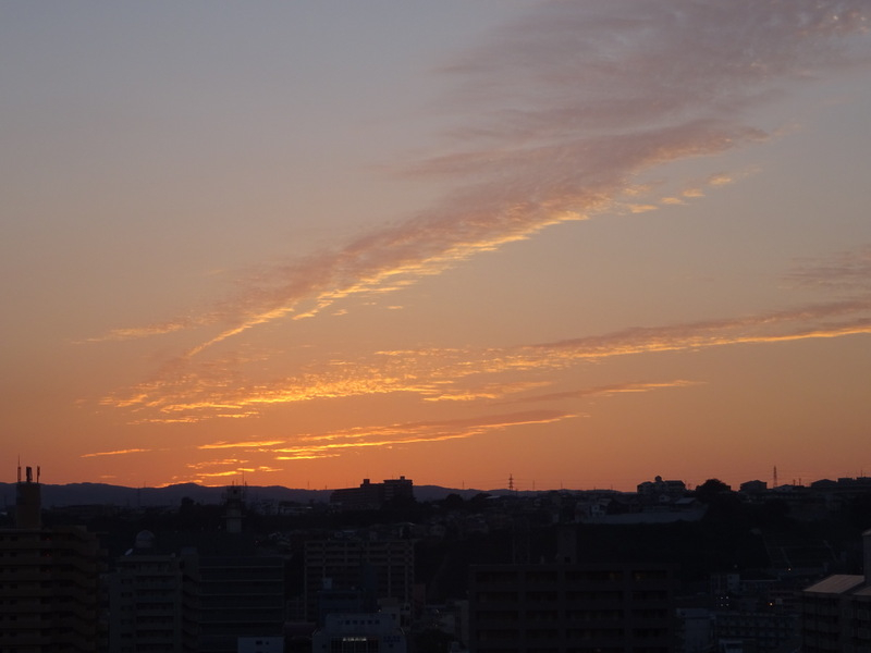 034dsc05821