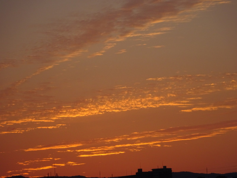 035dsc05822