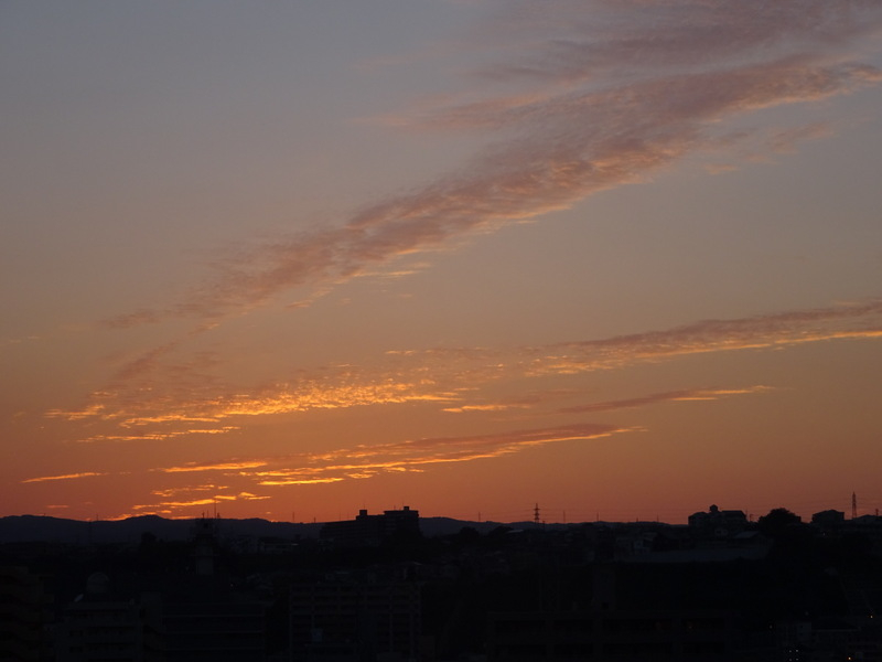 036dsc05823