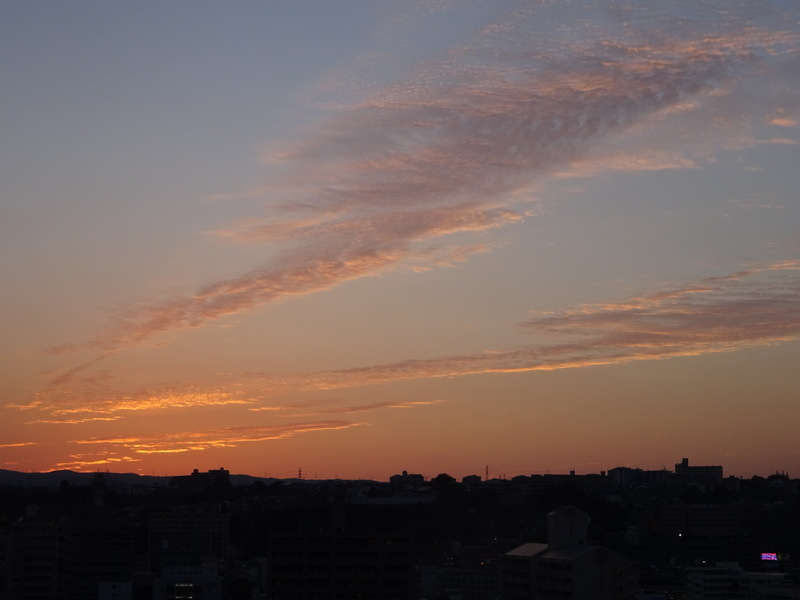037dsc05824