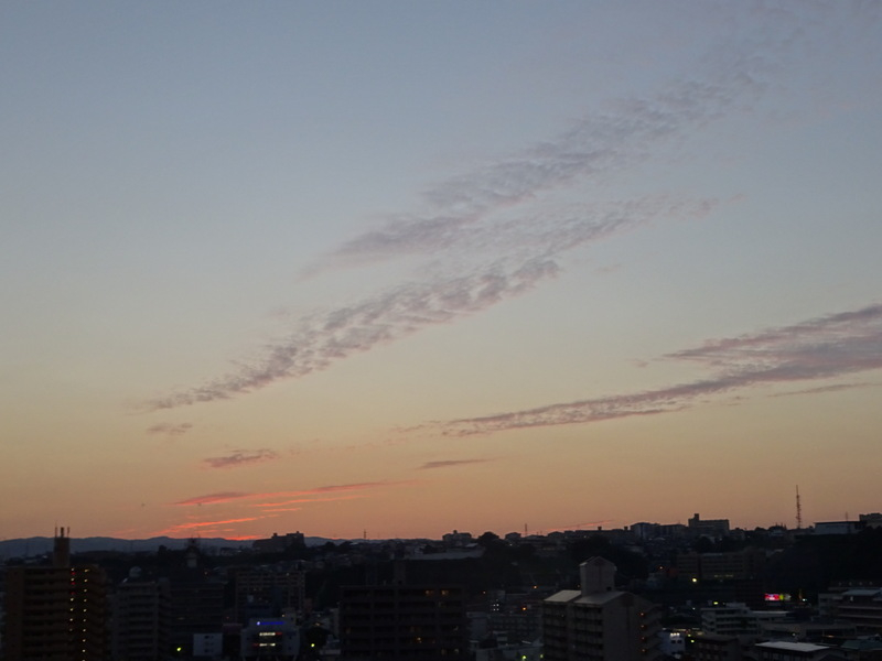 038dsc05825