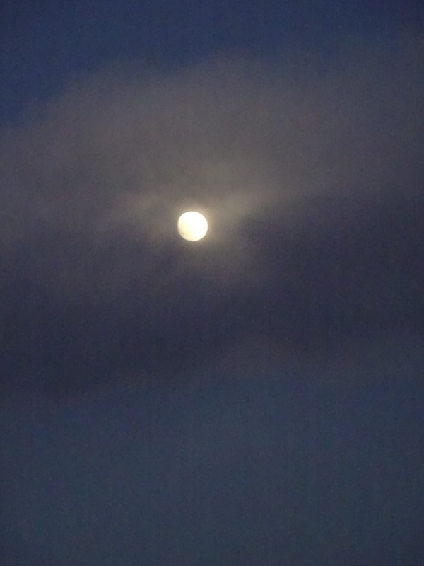 060dsc05849_2
