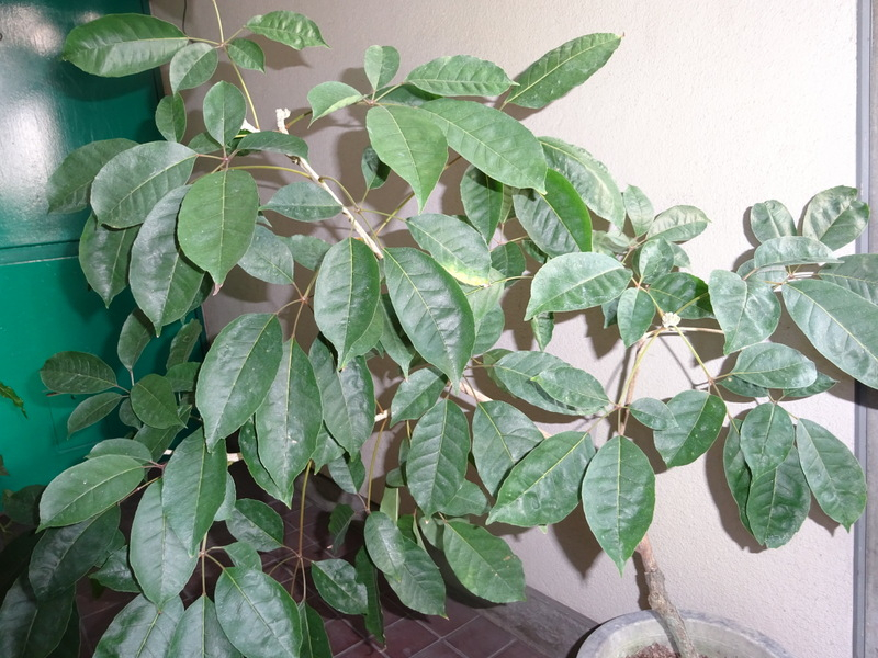 073dsc05697