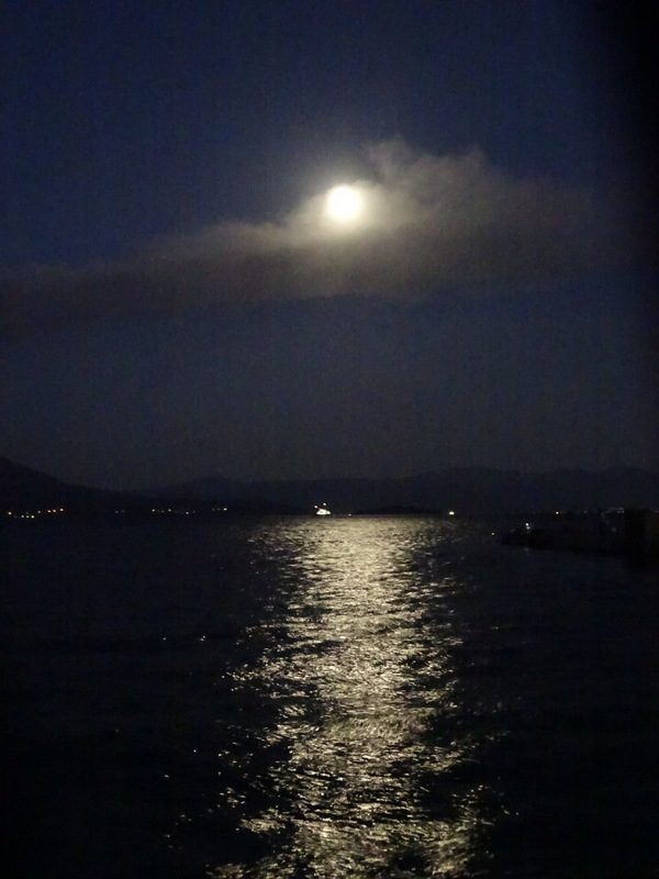 083dsc05875