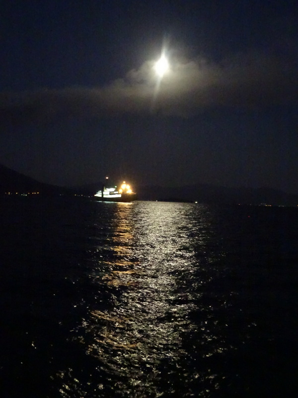 090dsc05882