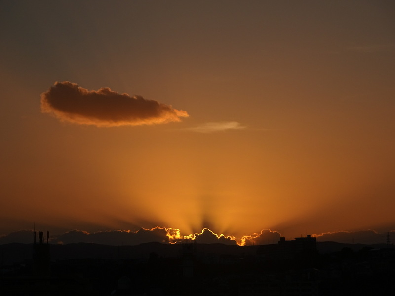 128dsc05755_2