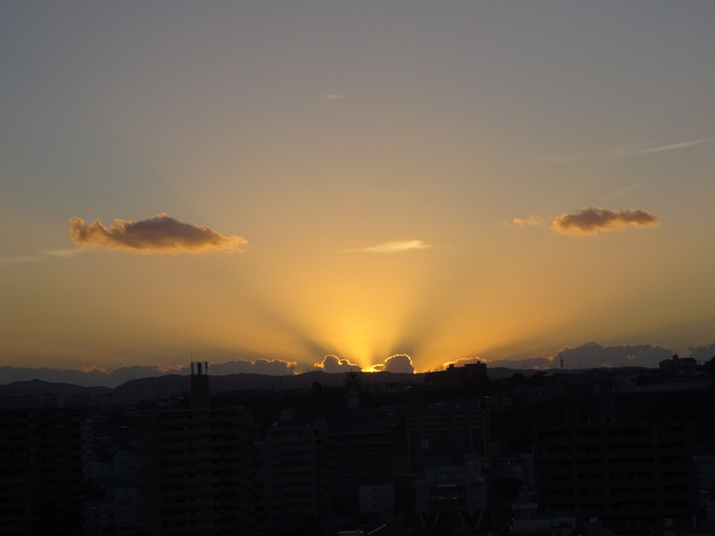 131dsc05758