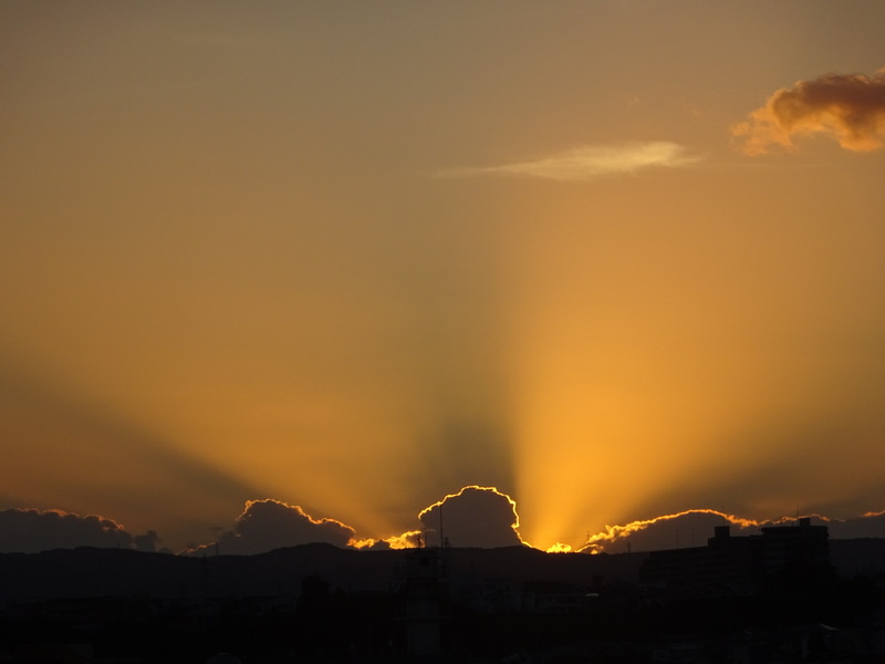 134dsc05761